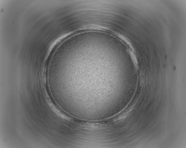 X0000081320987200701251804