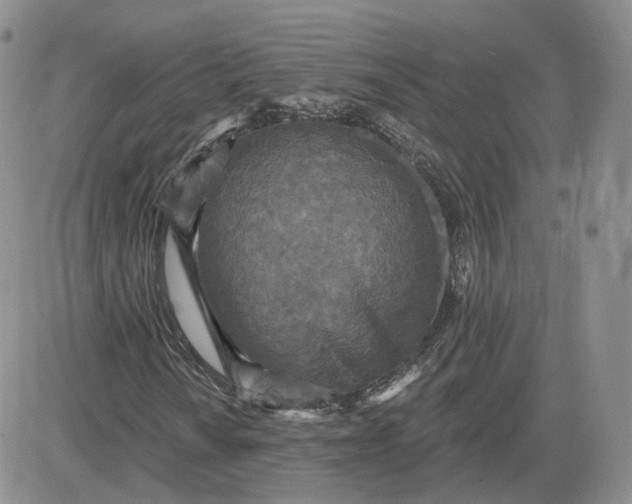 X0000081321010200701251802