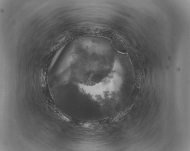 X0000081321013200701251802
