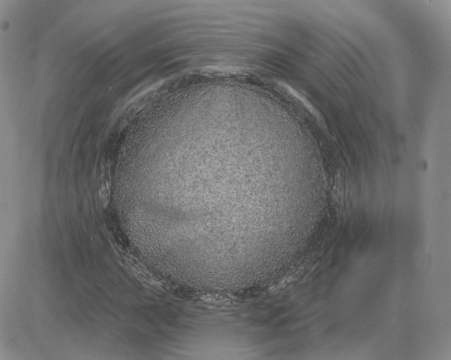 X0000081321015200701251802