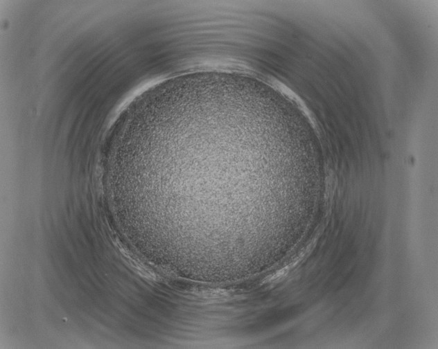 X0000081321019200701251803