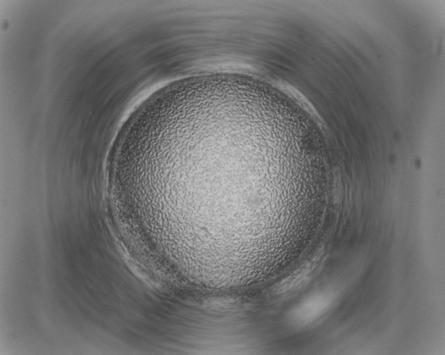X0000081321031200701251803
