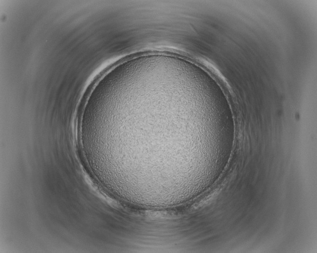 X0000081321032200701251803