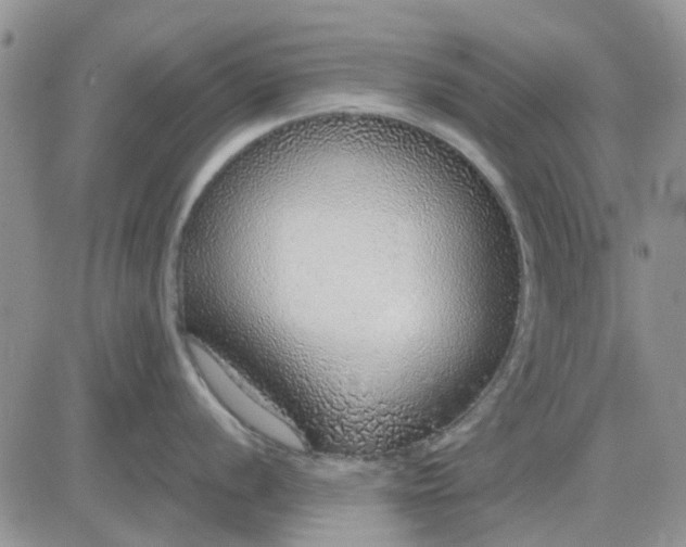 X0000081321056200701251803