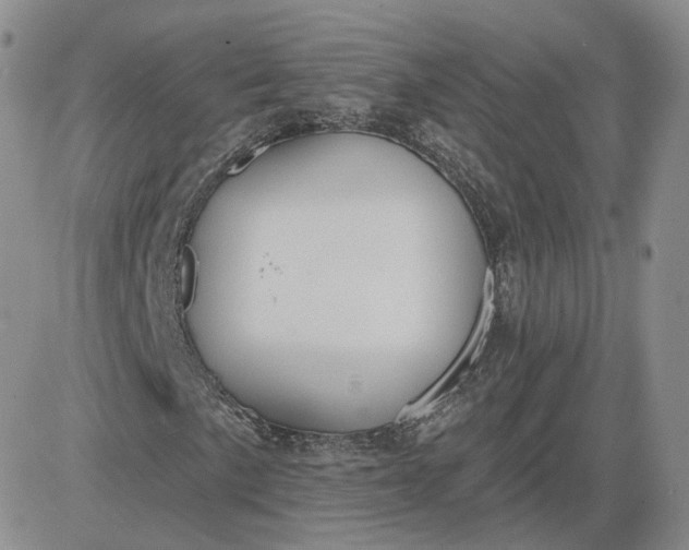X0000081321057200701251802