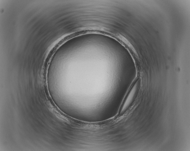 X0000081321068200701251802