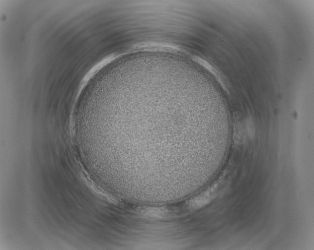 X0000081321074200701251802