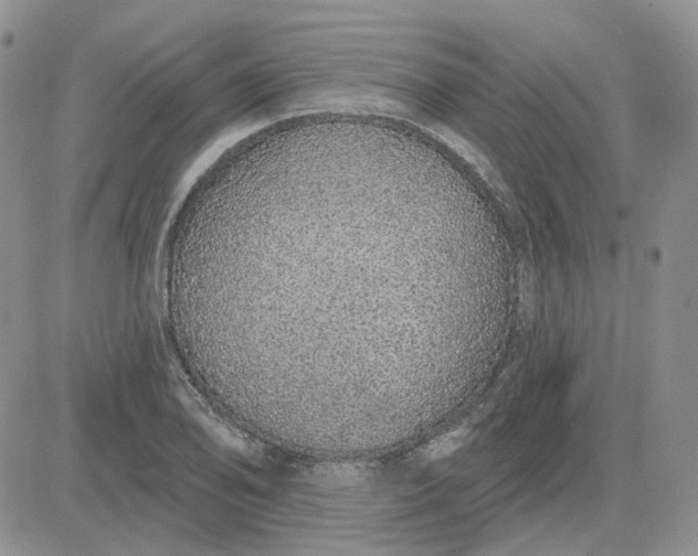 X0000081321078200701251802