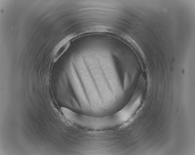 X0000081321081200701251802