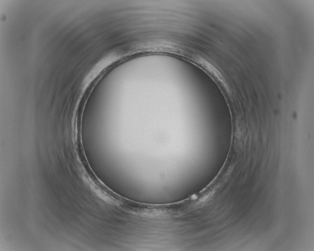 X0000081321082200701251802