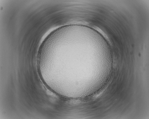 X0000081321094200701251802