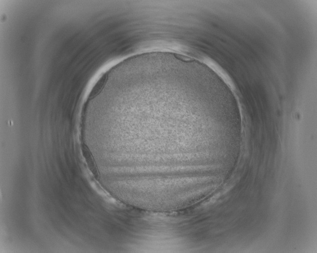 X0000081321104200701251801