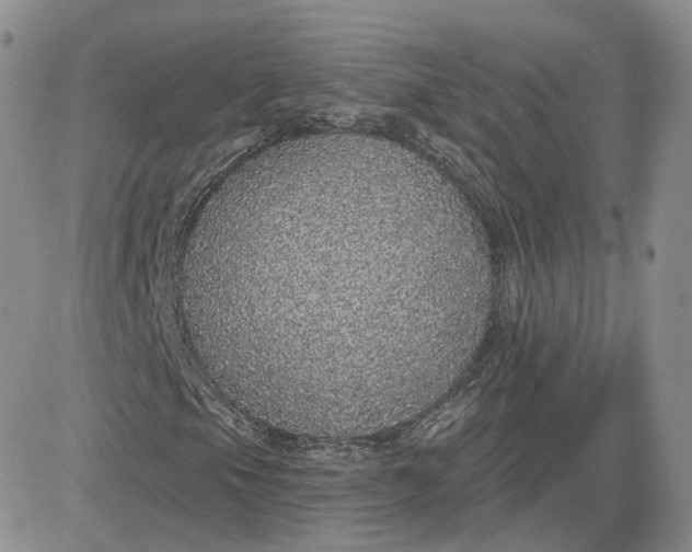 X0000081321105200701251801