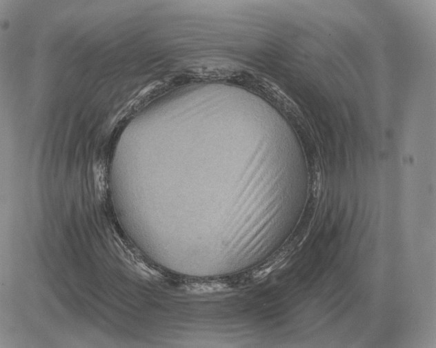 X0000081321108200701251801