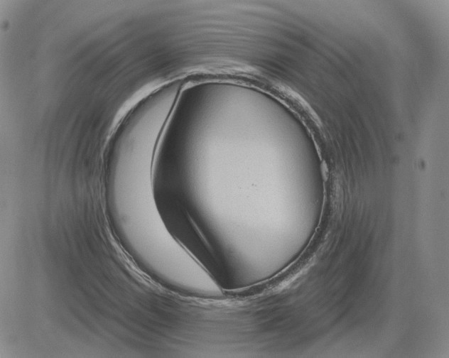 X0000081321114200701251801