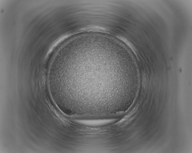 X0000081321115200701251801