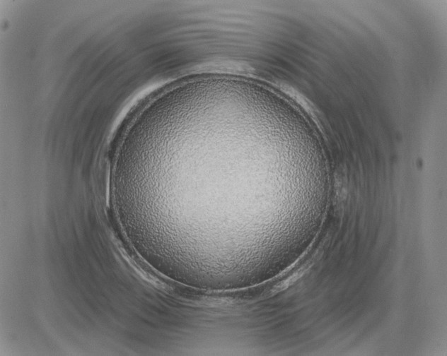 X0000081321123200701251801