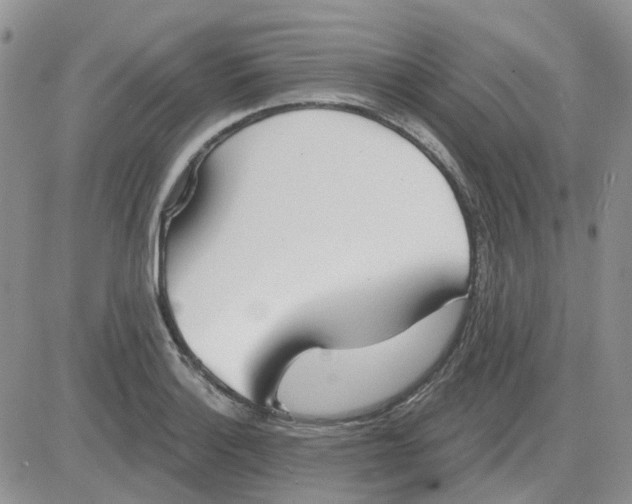 X0000081321132200701251801