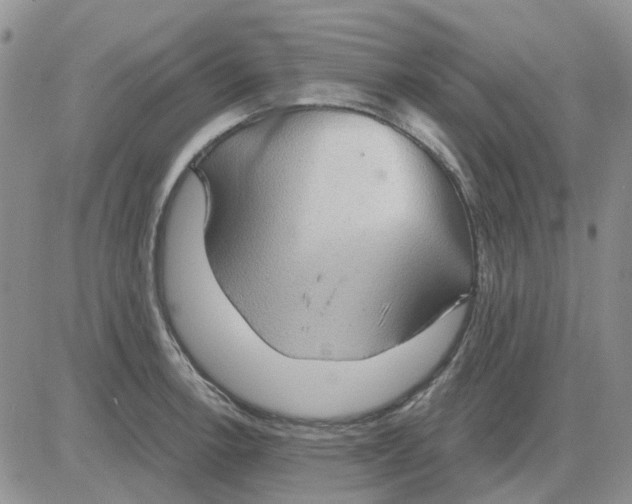 X0000081321138200701251801