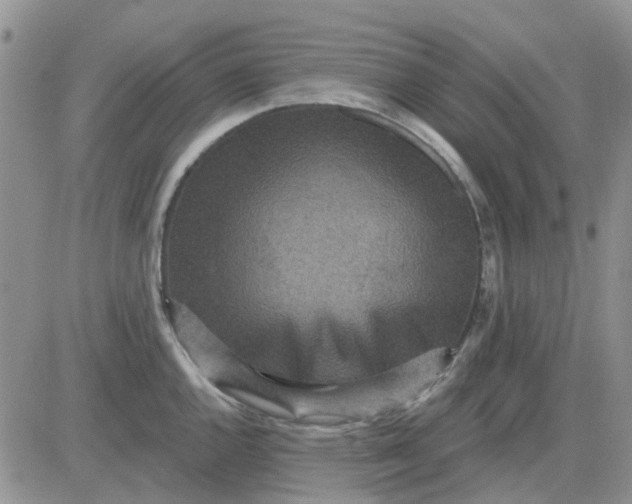 X0000081321144200701251801