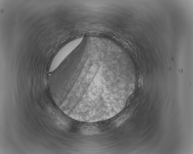 X0000081321156200701251801