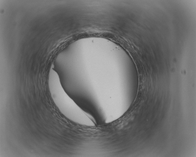 X0000081321157200701251801