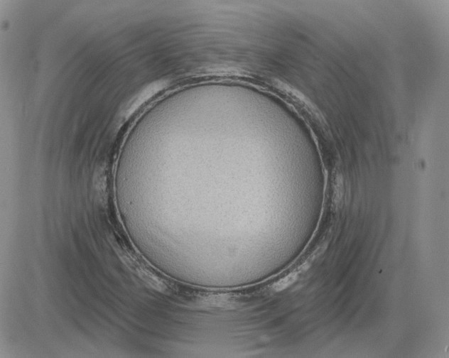 X0000081321162200701251801