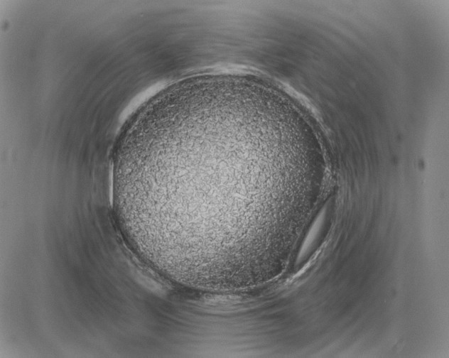 X0000081321171200701251800