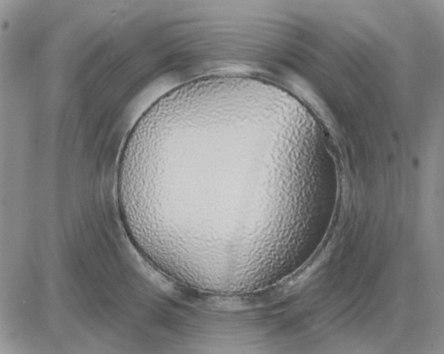 X0000081321194200701251800