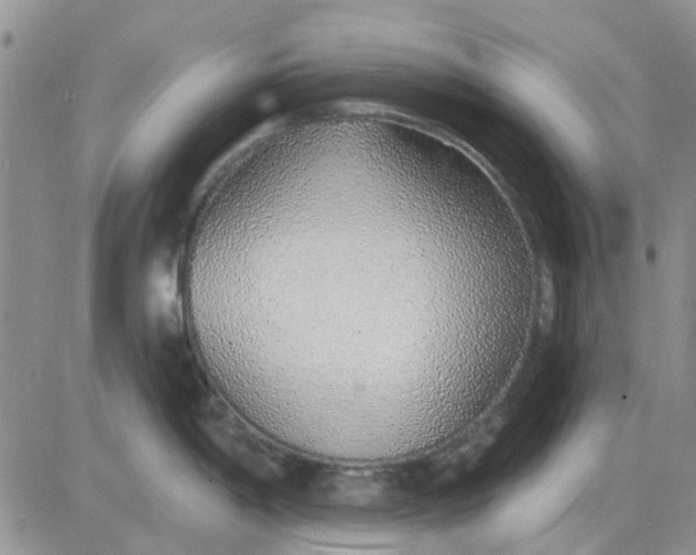 X0000081321198200701251800
