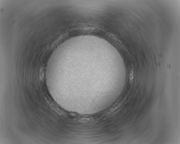 X0000081321204200701251759