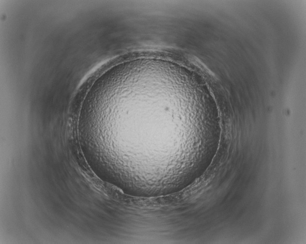 X0000081321208200701251759
