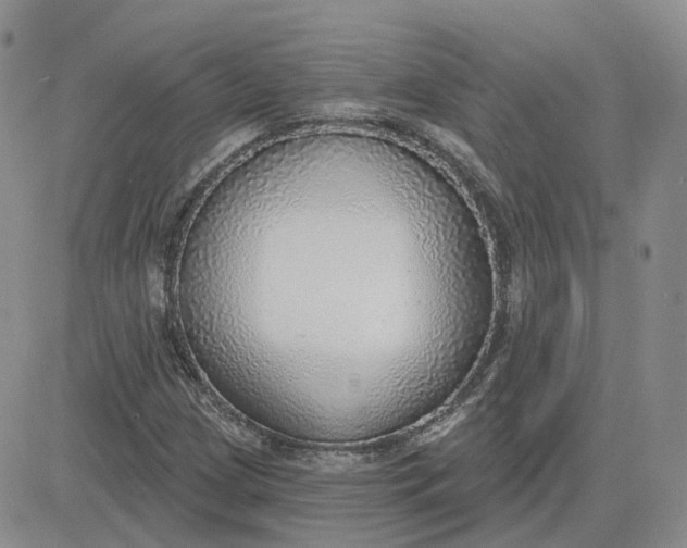 X0000081321209200701251759