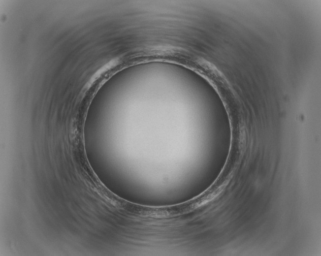 X0000081321210200701251759