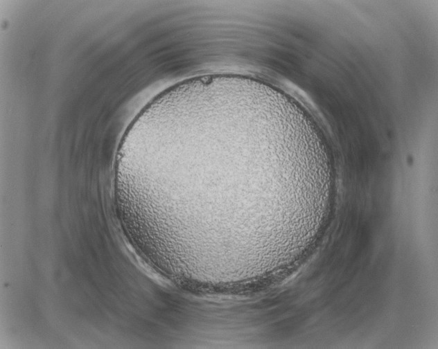 X0000081321236200701251800