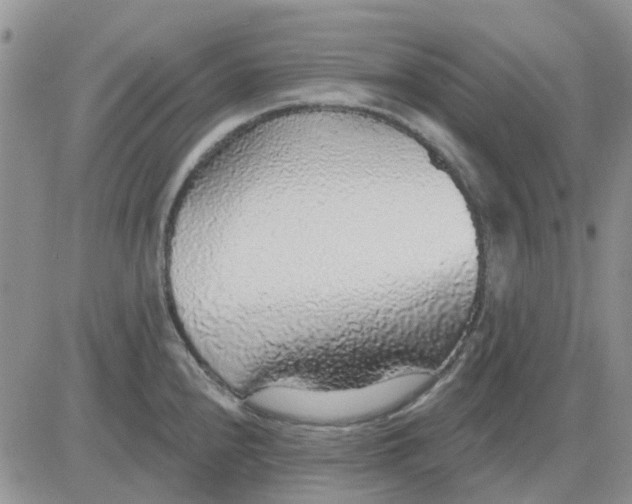 X0000081321240200701251800