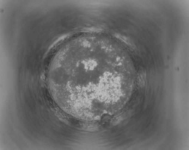 X0000081321254200701251759