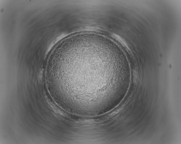 X0000081321260200701251759
