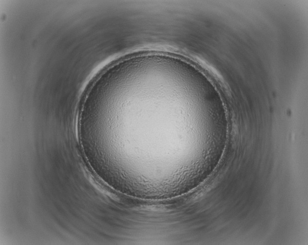 X0000081321272200701251759