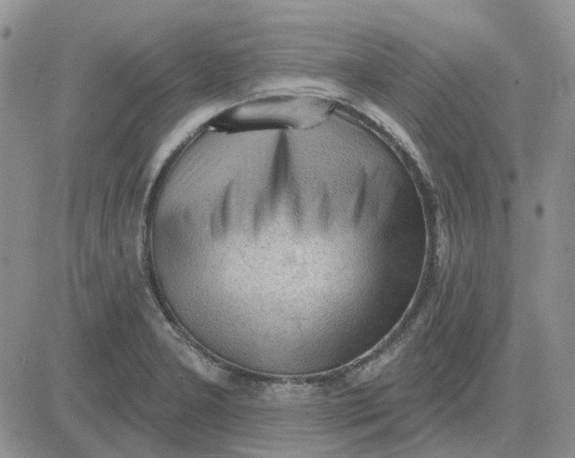 X0000081321277200701251759