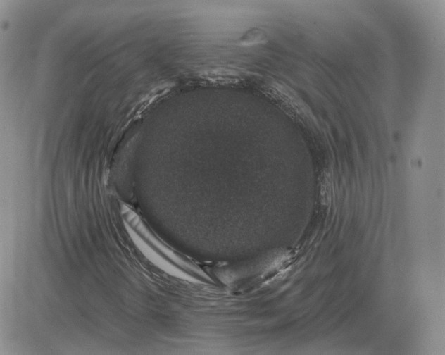 X0000081321298200701251758