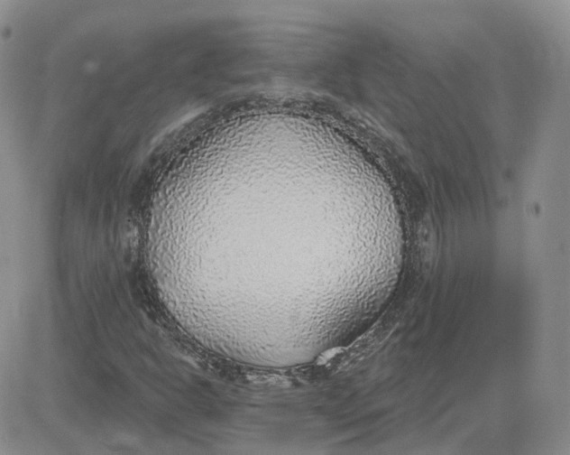 X0000081321302200701251758