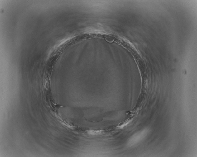 X0000081321303200701251758