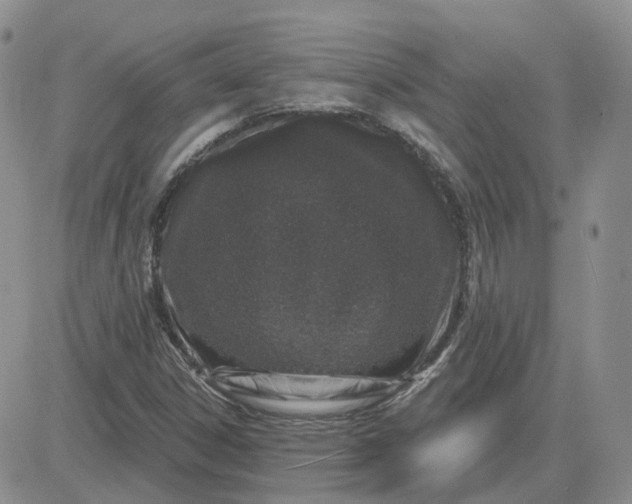 X0000081321306200701251758