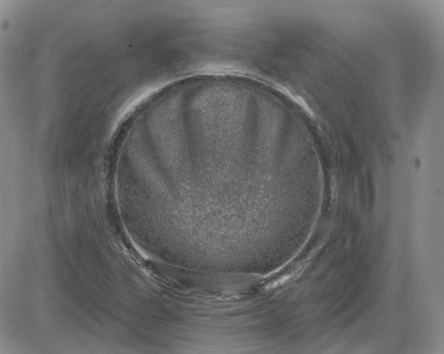 X0000081321311200701251758