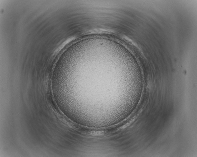 X0000081321313200701251758