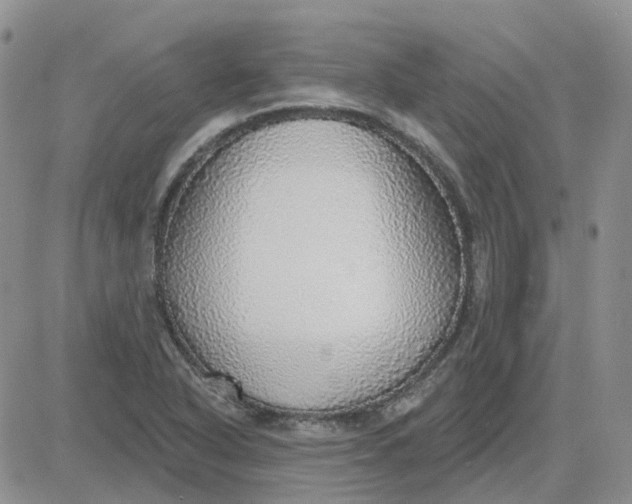X0000081321318200701251758