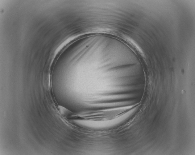 X0000081321324200701251758