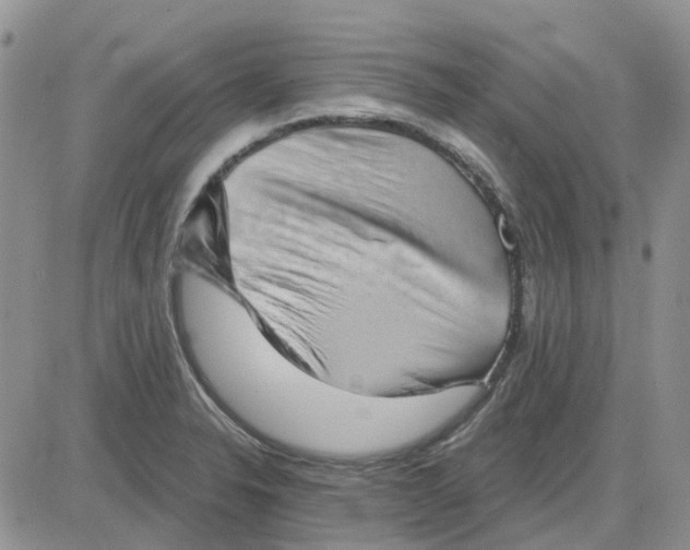 X0000081321326200701251758