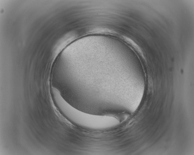 X0000081321330200701251758